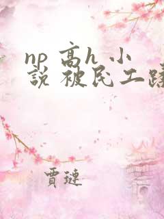 np 高h 小说 被民工蹂躏