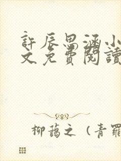 许辰思涵小说全文免费阅读最新章节