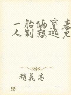 一胎俩宝老婆大人别想逃免费阅读