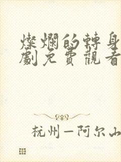 灿烂的转身电视剧免费观看全集高清