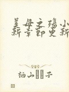 美母之殇小说最新章节更新