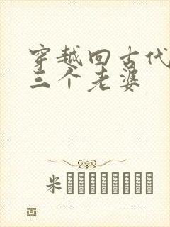 穿越回古代娶了三个老婆