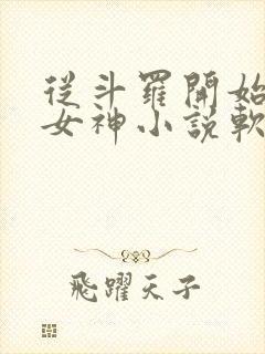 从斗罗开始俘获女神小说软件