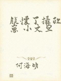 朕怀了摄政王的崽 小文旦