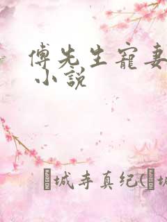 傅先生宠妻无度 小说