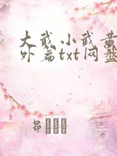 大武小武黄蓉番外篇txt网盘