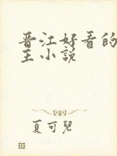 晋江好看的双男主小说