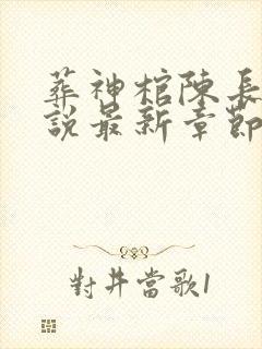 葬神棺陈长安小说最新章节