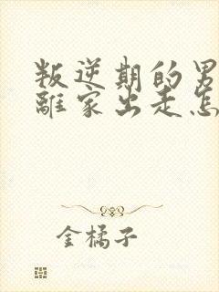 叛逆期的男孩子离家出走怎么去引导初中生