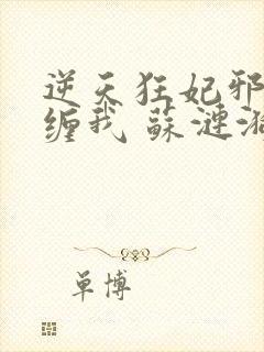 逆天狂妃邪王别缠我 苏涟漪