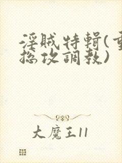 淫贼特辑(重口总攻调教)