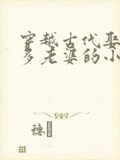 穿越古代娶了很多老婆的小说