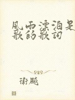 风雨漂泊是哪首歌的歌词