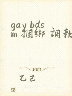 gay bdsm 捆绑 调教 男奴
