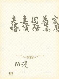 夫妻因为家暴离婚,债务怎么分配