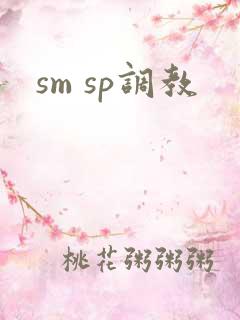 sm sp调教