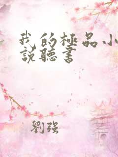 我的极品小姨小说听书