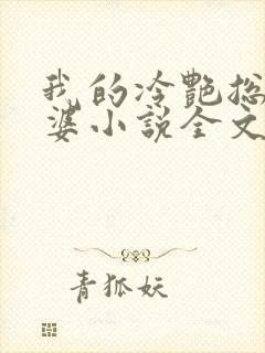 我的冷艳总裁老婆小说全文阅读