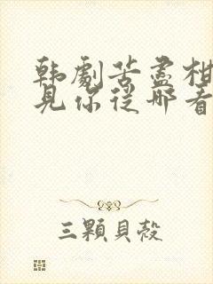 韩剧苦尽柑来遇见你从哪看完整版高清