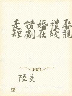 走错婚礼娶对妻短剧在线观看