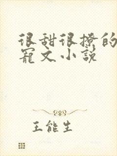 很甜很撩的校园宠文小说