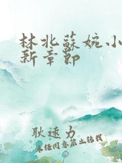 林北苏婉小说最新章节