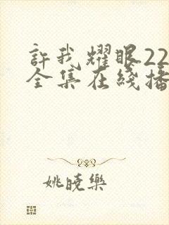 许我耀眼22集全集在线播放