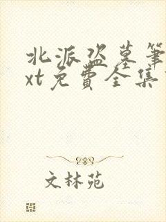 北派盗墓笔记txt免费全集下载