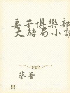 妻子俱乐部番外 大结局小说