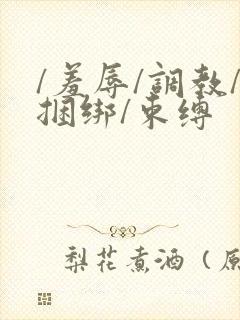 /羞辱/调教/捆绑/束缚