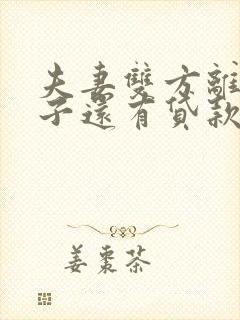 夫妻双方离婚房子还有贷款怎么分离婚怎么分