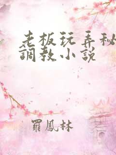 老板玩弄秘书h调教小说