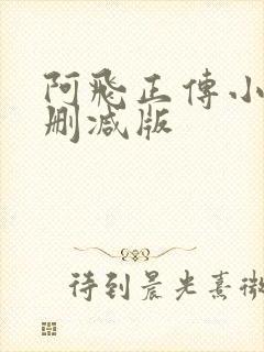 阿飞正传小说未删减版