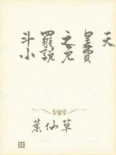 斗罗之昊天神话小说免费