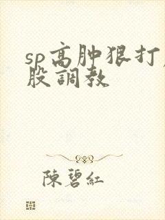 sp高肿狠打屁股调教