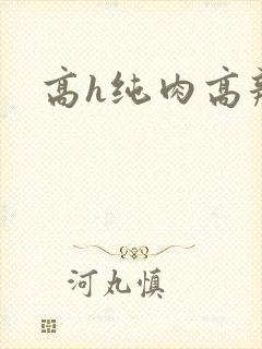 高h纯肉高辣文