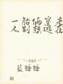 一胎俩宝老婆大人别想逃在线阅读