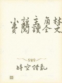 小说主角林风免费阅读全文