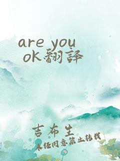 are you ok翻译