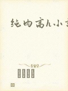 纯肉高h小说文