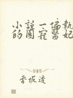 小说一偏执王爷的团宠医妃