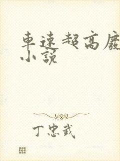 车速超高废文的小说