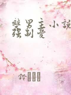 双男主小说推荐强制爱