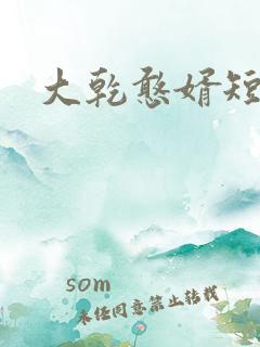 大乾憨婿短剧上