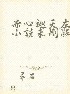 赤心巡天左光烈小说未删版全文