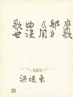 歌曲《那么爱你也没用》歌词