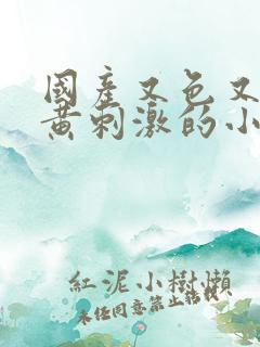 国产又色又爽又黄刺激的小说