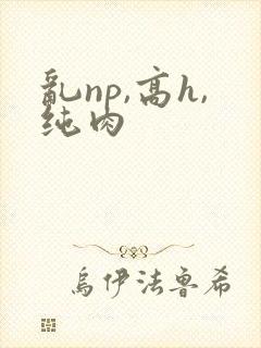 乱np,高h,纯肉
