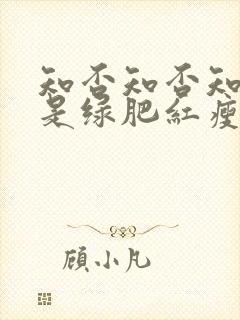 知否知否知否应是绿肥红瘦全集免费观看