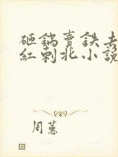 砸锅卖铁去上学红刺北小说无删减版